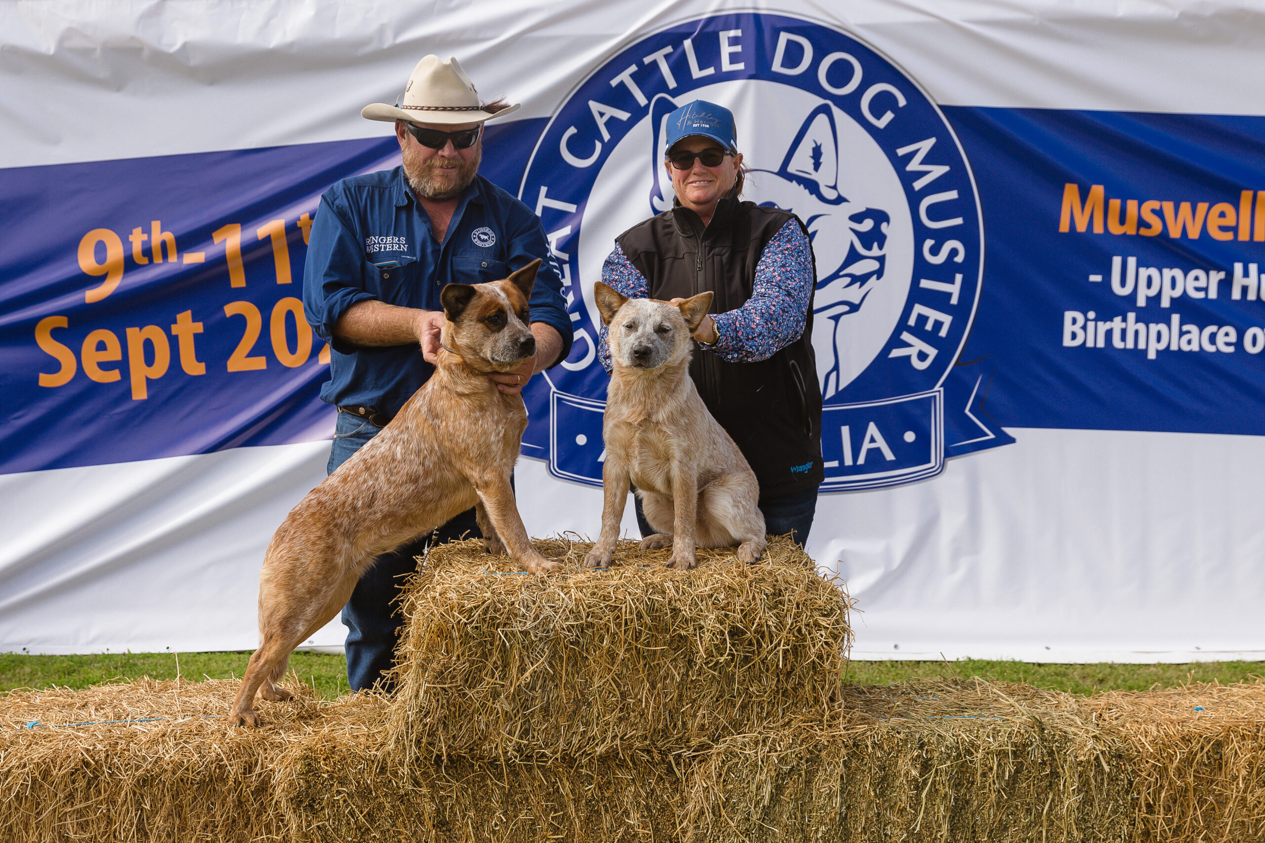 Community Family Fun Day • The Great Cattle Dog Muster • Muswellbrook